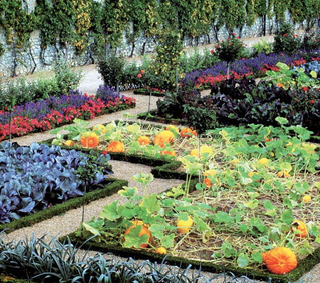 Les jardins de Villandry (Indre-et-Loire)©Michael Boys/Corbis