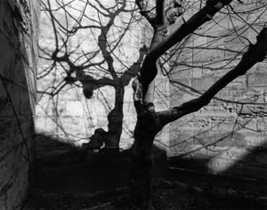Beatrix v. Conta, photographie