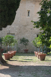 Jardin du procureur