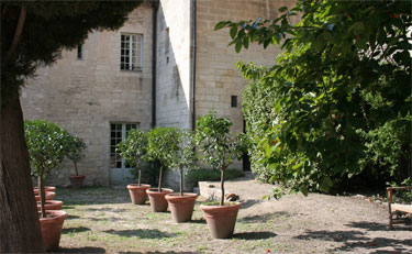 Jardin du procureur (2)