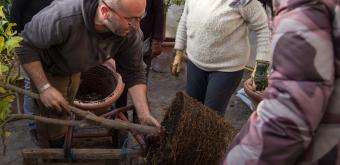 visuel dimanche aux jardins