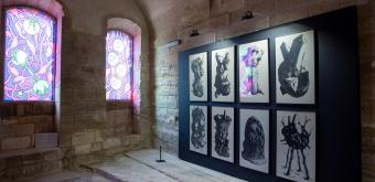 vue exposition "étranges pulpes"