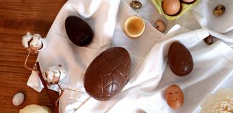 visuel chocolats Castelain