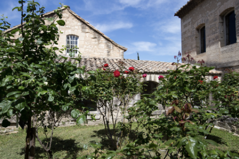 Jardin de la bugade © Alex Nollet