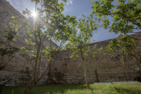 Jardin de la bugade © Alex Nollet