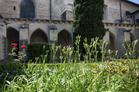 Petit cloître © Alex Nollet