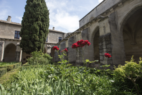 Petit cloître © Alex Nollet