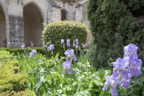 Petit cloître © Alex Nollet