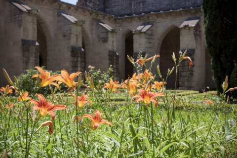 Petit cloître © Alex Nollet