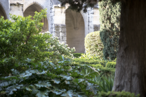 Petit cloître © Alex Nollet