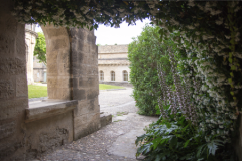 Cloître Saint-Jean © Alex Nollet