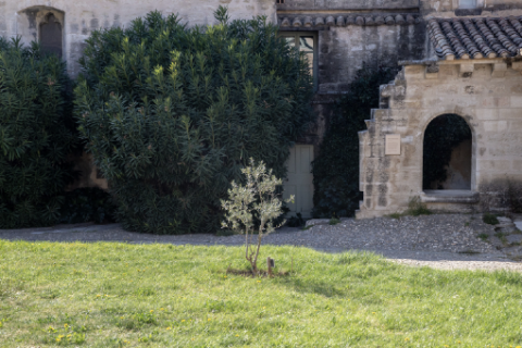 Cloître Saint-Jean © Alex Nollet