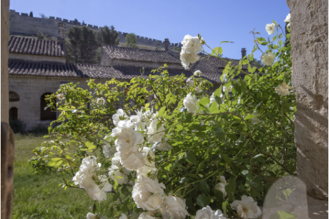 Grand Cloître © Alex Nollet/La Chartreuse