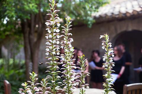 Jardins © Alex Nollet/La Chartreuse