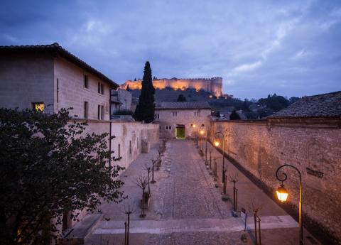 La Chartreuse nuit - photo Alex Nollet