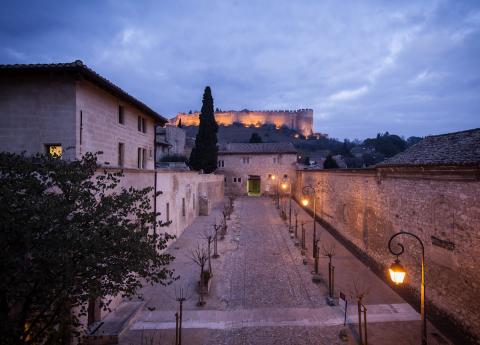 La Chartreuse nuit - photo Alex Nollet