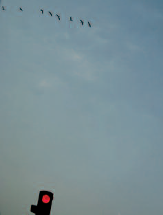 LABO/07 © Karin Serres