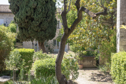 Jardin du procureur © Alex Nollet