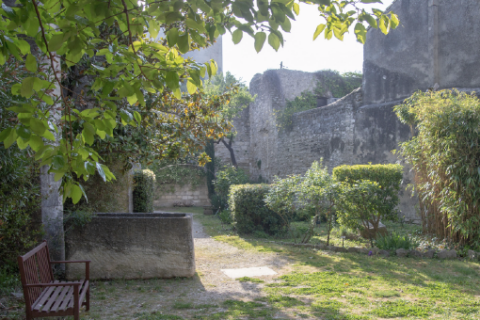 Jardin du procureur © Alex Nollet