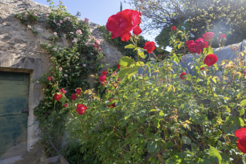 Jardin des senteurs © Alex Nollet 