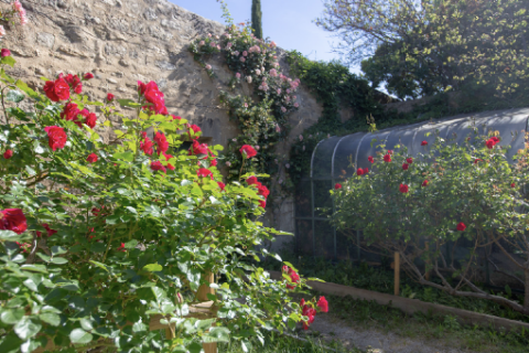 Jardin des senteurs © Alex Nollet 