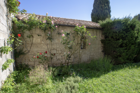 Jardin du sous-sacristain © Alex Nollet