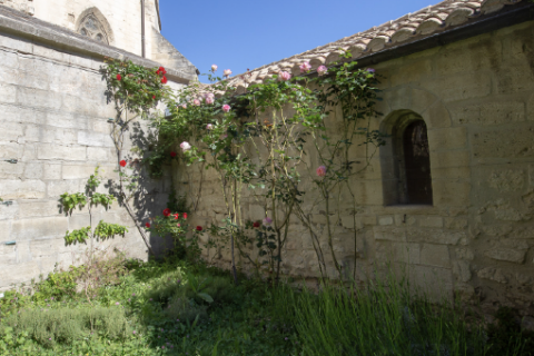 Jardin du sous-sacristain © Alex Nollet