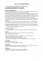 Stage mécénat