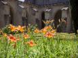 Petit cloître - Photo A Nollet
