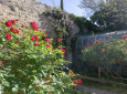 Jardin des senteurs © Alex Nollet 