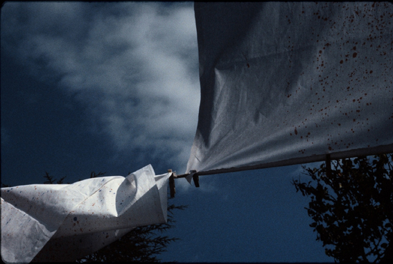 Encres©Claude Garanjoud