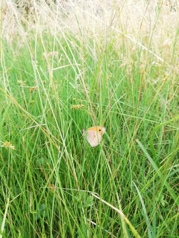 © Alex-Nollet La Chartreuse © Alex-Nollet La Chartreuse