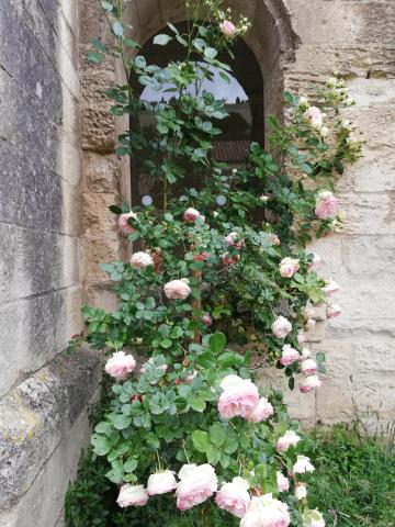 © Alex-Nollet La Chartreuse © Alex-Nollet La Chartreuse