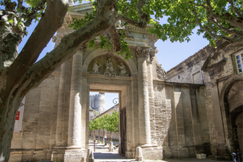 Allée des mûriers - Alex Nollet Allée des mûriers - Alex Nollet