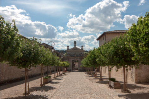 Allée des mûriers - Alex Nollet Allée des mûriers - Alex Nollet