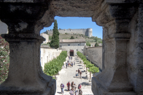 Allée des mûriers © Alex Nollet Allée des mûriers © Alex Nollet
