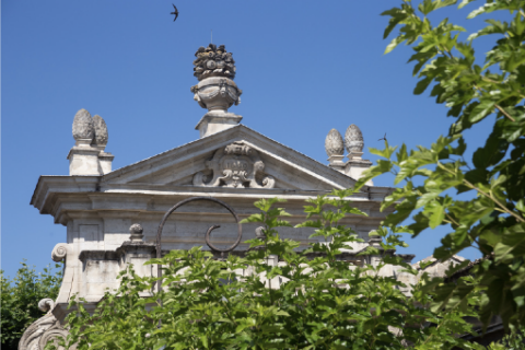 Allée des mûriers © Alex Nollet Allée des mûriers © Alex Nollet