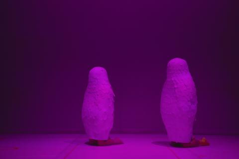 Euphoria © Clelia Schaeffer