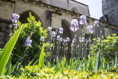 Petit cloître - Photo A Nollet