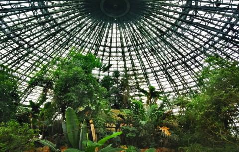 Biosphère © Frédéric Sonntag