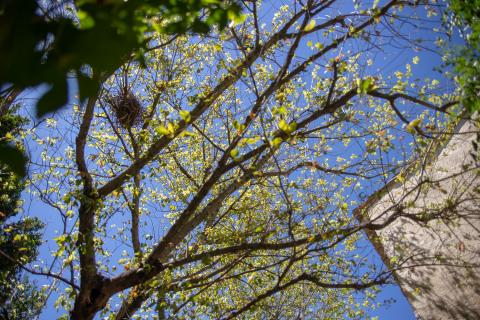 © Alex-Nollet La Chartreuse © Alex-Nollet La Chartreuse