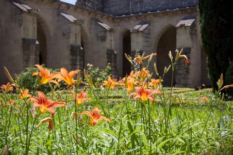 Petit cloître - Photo A Nollet