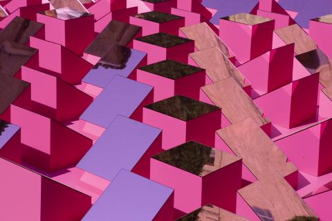 Ribote de Benjamin Borne © FAV