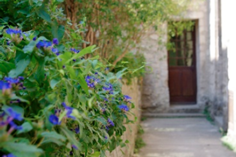 Jardin des simples © Alex Nollet