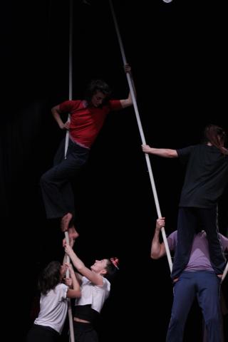 Allégresse © Lisa Coinus