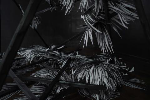 © David Coste © David Coste