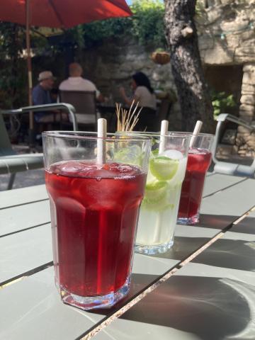 photo boissons © Agathe Vilotitch la Chartreuse